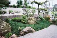 純日本庭園/造園 日本庭園 滋賀県