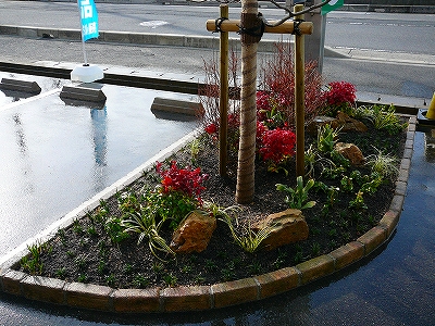 和洋折衷の庭/造園 日本庭園 滋賀県